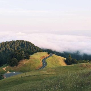 Андрій Мельник
