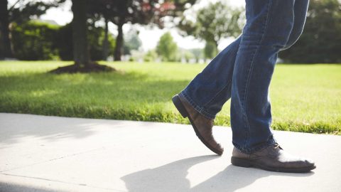 Рівне: у скверах висаджують молоді дерева